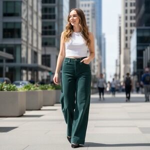 Favorite Daughter Velvet Pants The Mischa Super High Rise Wide Leg Hayward Sz 30